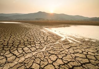 UK's record-breaking July heatwave could be "average summer" by 2035