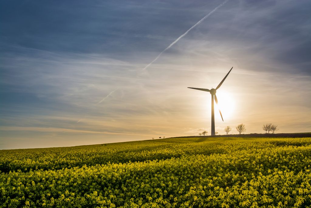 Wind turbines produce more electricity than other renewable sources in the UK