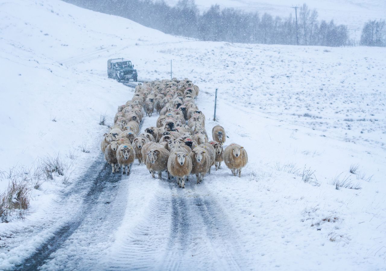 UK snow map: Amber cold weather health alert signals “severe impacts ...