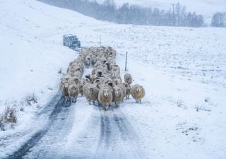 UK snow map: Amber cold weather health alert signals “severe impacts” possible