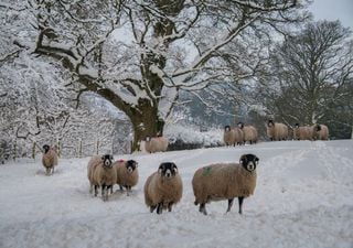 UK struck by snow over the weekend with ice warnings