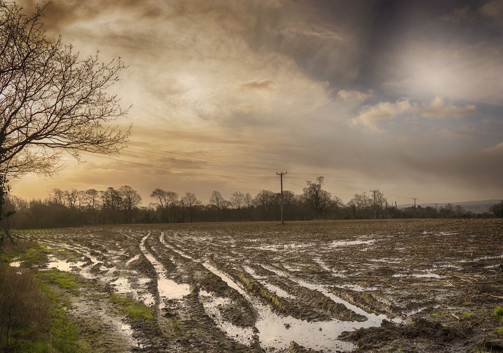 Flooded field in the UK countryside.