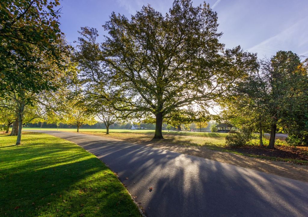 Trees in parks provide shade and reduce air pollution