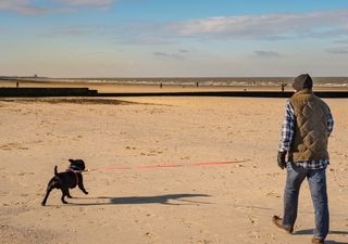 UK weather forecast: Temperatures drop but will there be sunshine?