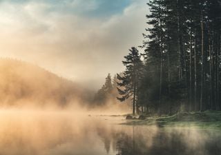 UK Weather Outlook: Dropping colder across England and Wales this weekend with dense fog lingering