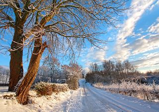 UK weather: Arctic air to bring freezing temperatures and snowfall