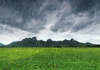 Strong winds and chilly temperatures forecast for UK as autumn bites