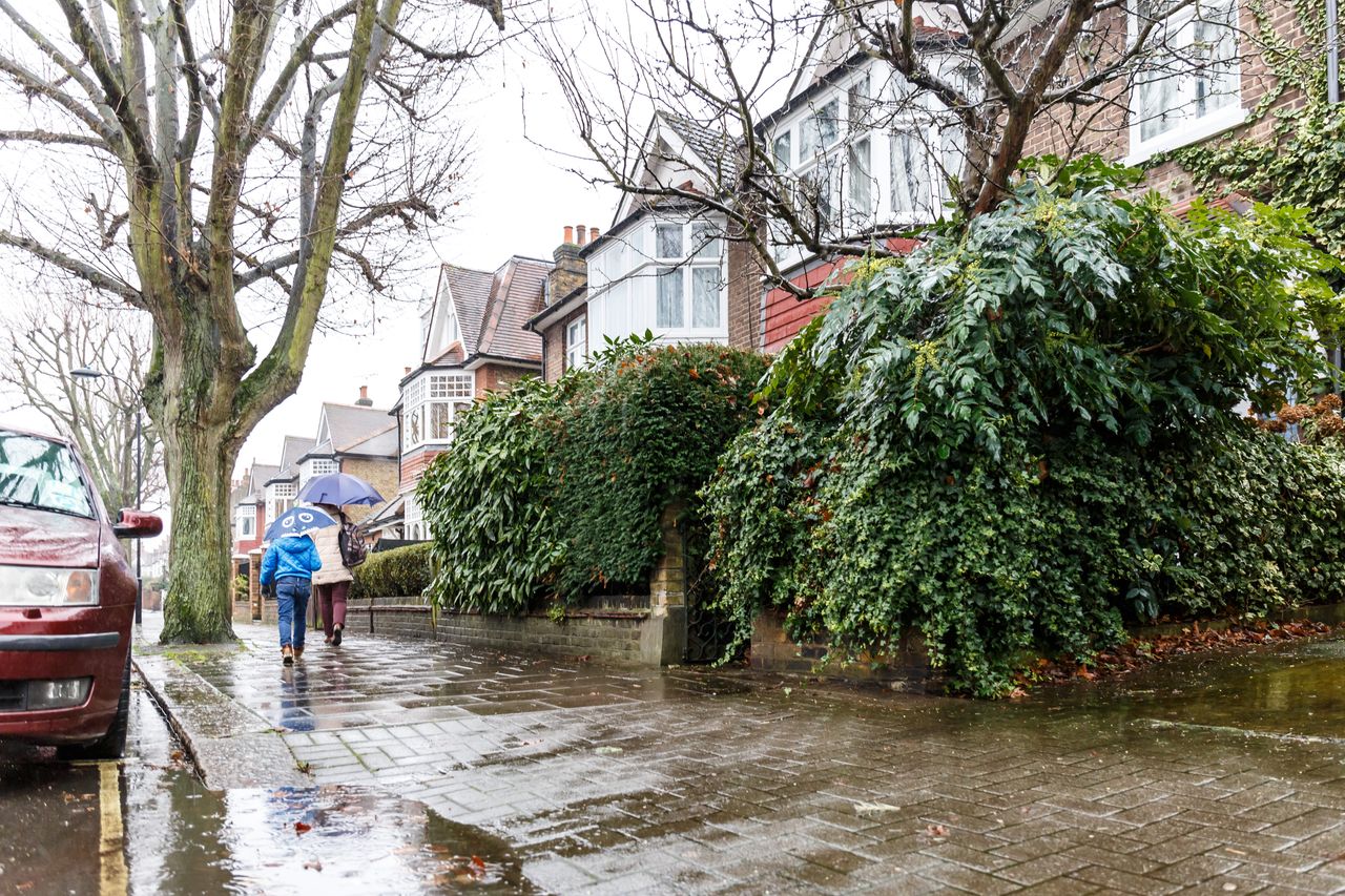 UK weather: Cloudy and wet for the start of February but will drier ...