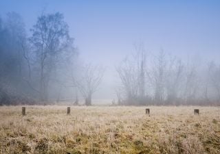 UK weather forecast: Freezing patches of fog for some and a frost risk