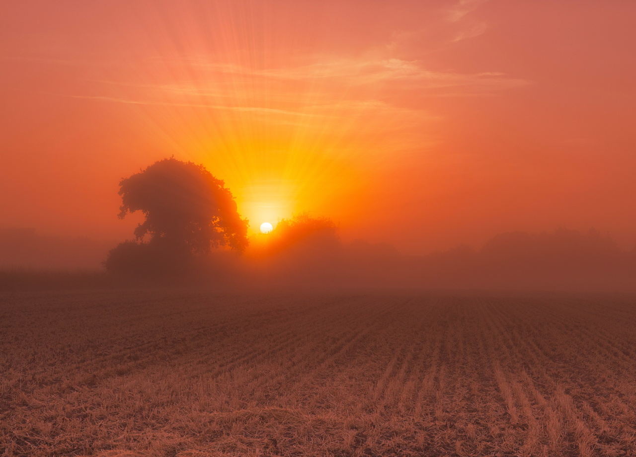 UK Weather: Foggy mornings give way to hazy sunshine. Is the spring ...