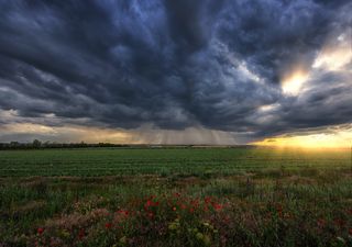 Yellow warning as UK set for thunderstorms and torrential downpours