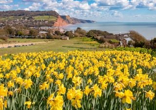 UK weather outlook: A north-south split before a turning point by the end of the week