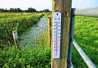 UK weather outlook: A respite from the cold with temperatures up to 15°C