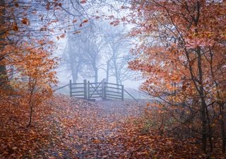 UK weather outlook: Atmospheric blocking continues, what will this mean for the forecast?