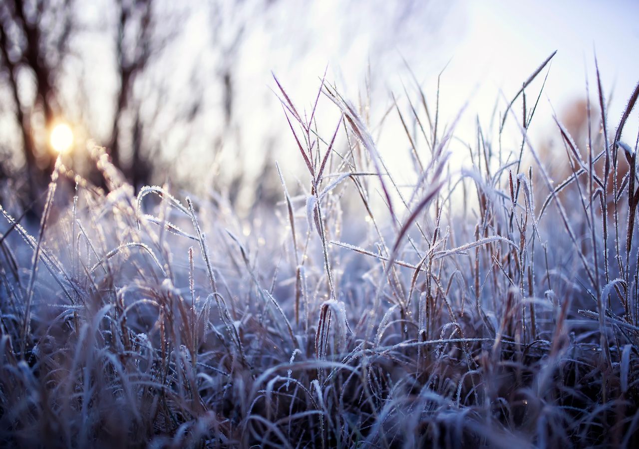 UK weather outlook for the next few days: Outbreaks of rain, frost and ...
