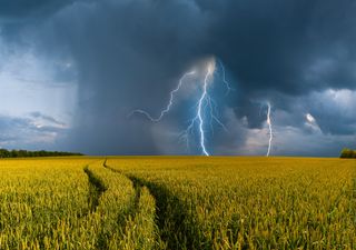 UK weather outlook: Heat breaks down and thunderstorms brew, is autumn returning?