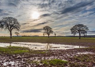 UK weather outlook: Mild for the first day of winter but will cold and snow return?