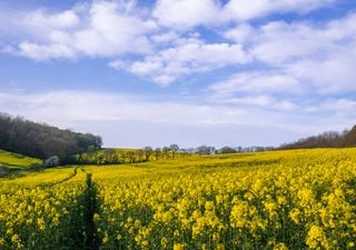 UK weather outlook: Spring has sprung, but will the dry and sunny weather last?