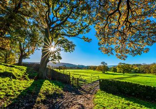 UK weather forecast: Temperatures soar, but beware, thunderstorms are on the horizon!