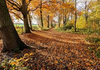 The UK weather outlook nearing the end of October 2024, will it be settled?