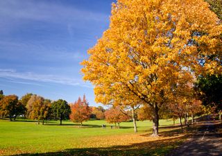 UK weather outlook: Will the clouds linger or is sunshine finally on the way?