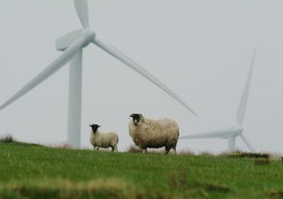 UK weather outlook: Winds to strengthen, will your region be affected?