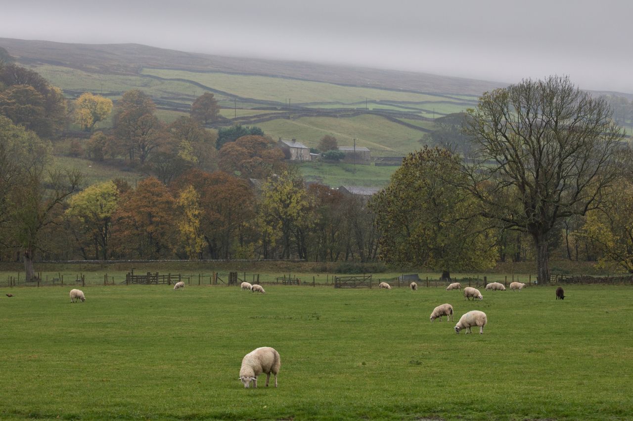 UK weather: Patchy rain and strengthening winds midweek but will drier ...