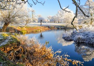 UK weather: temperatures to plummet, bringing snow and strong winds