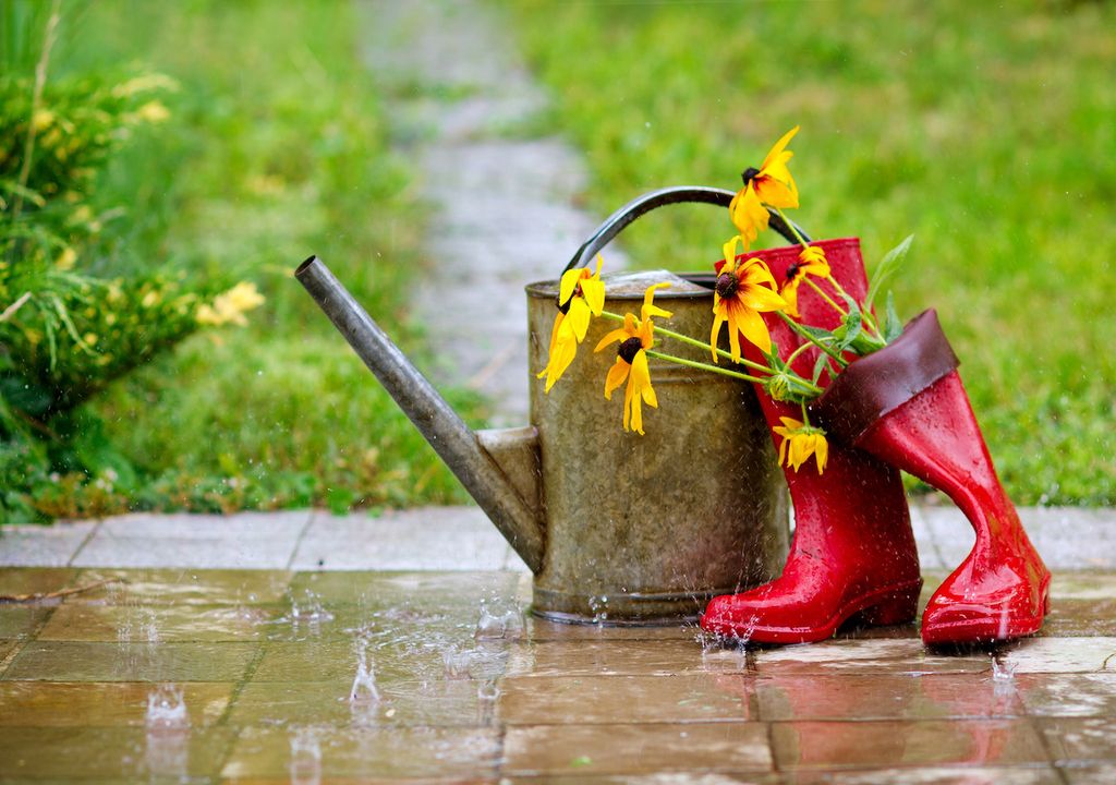 Wellies and watering can in the rain