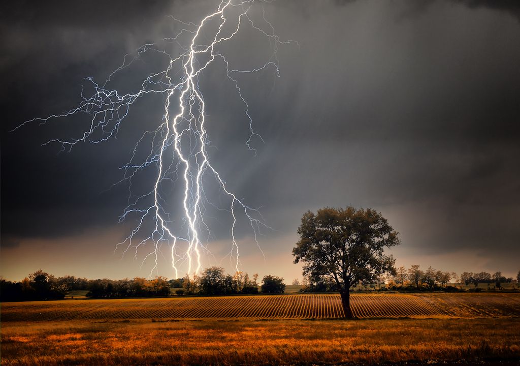 Lightning with tree