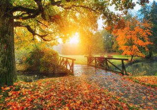 UK weather turning autumnal as September begins