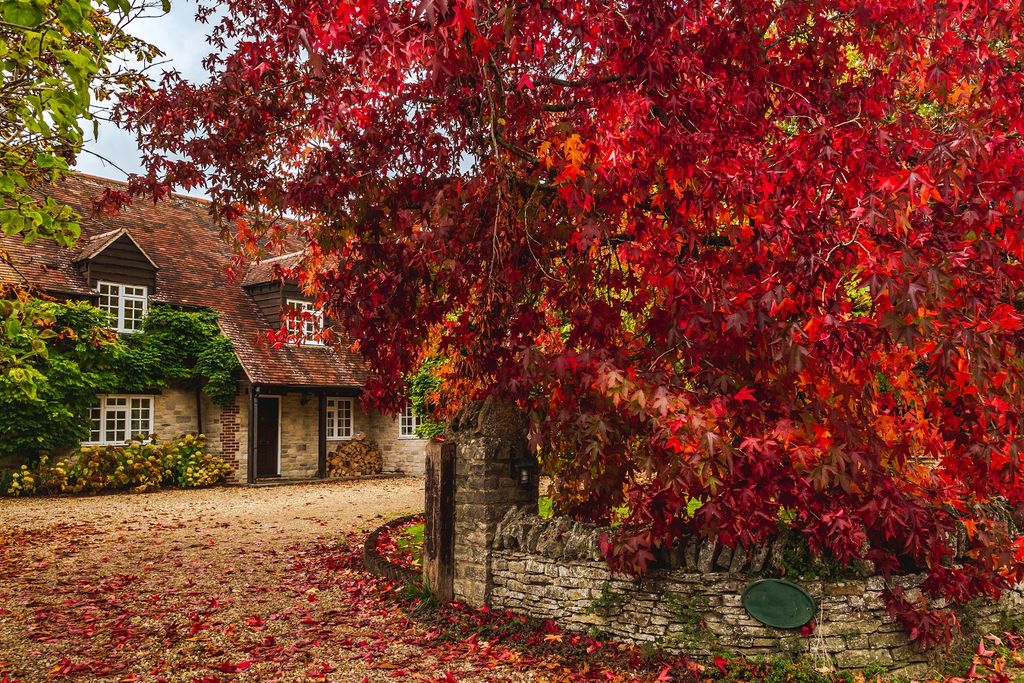 Autumn UK.