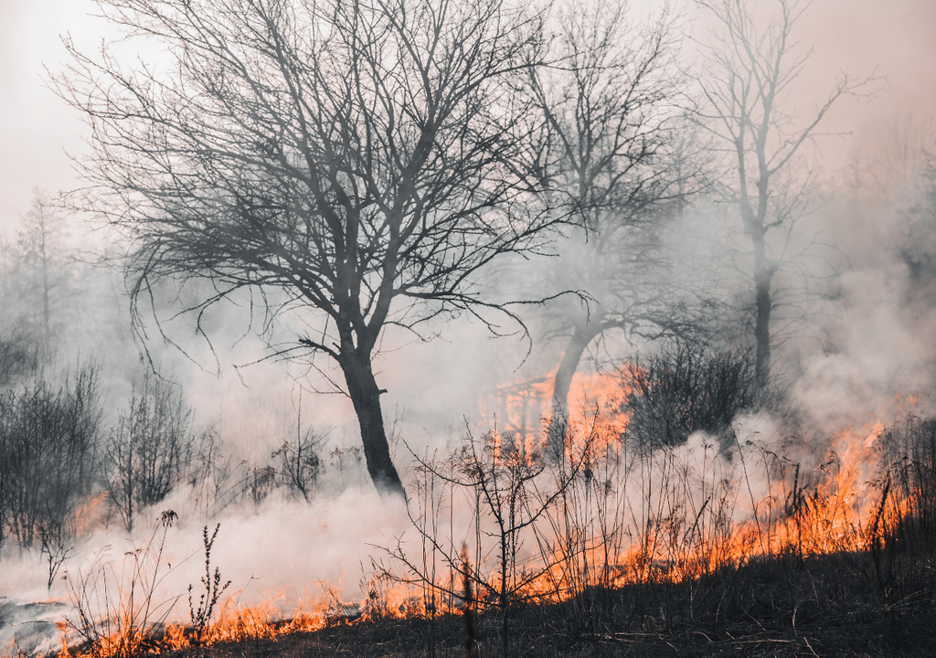 Incendio Incendio