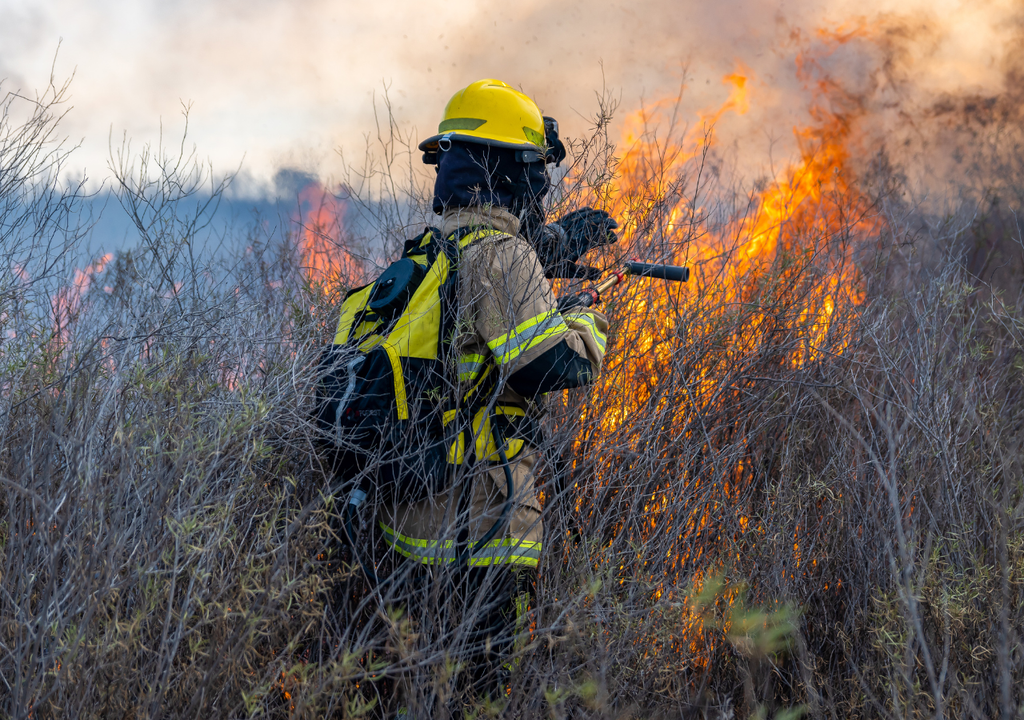 Bombero forestal Bombero forestal