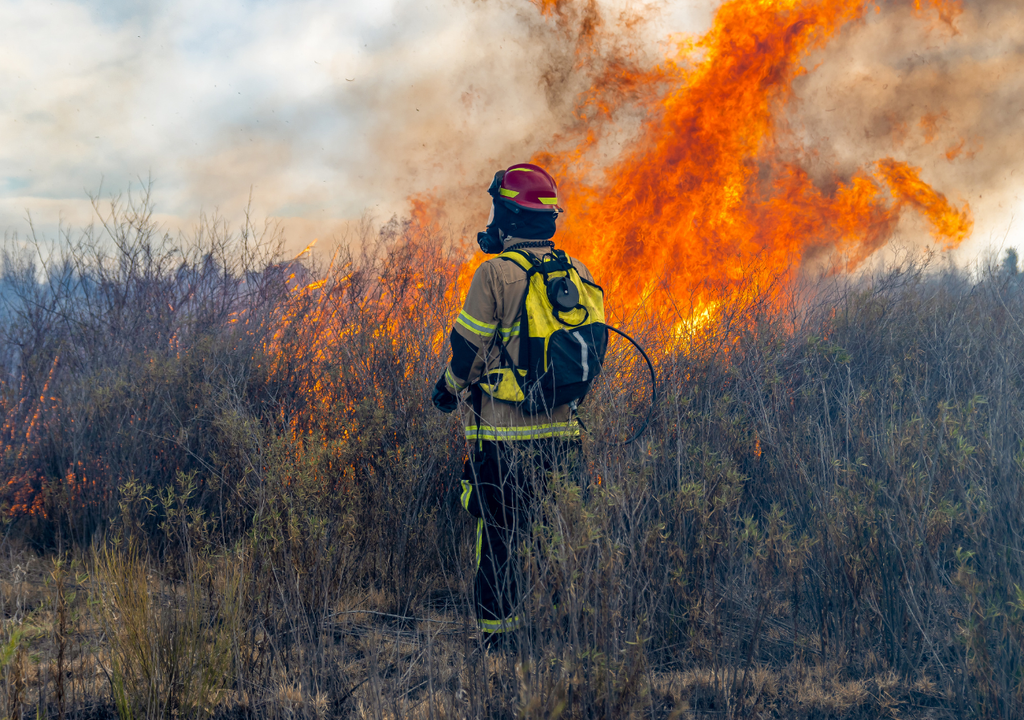 Bombero forestal apagando un fuego Bombero forestal apagando un fuego