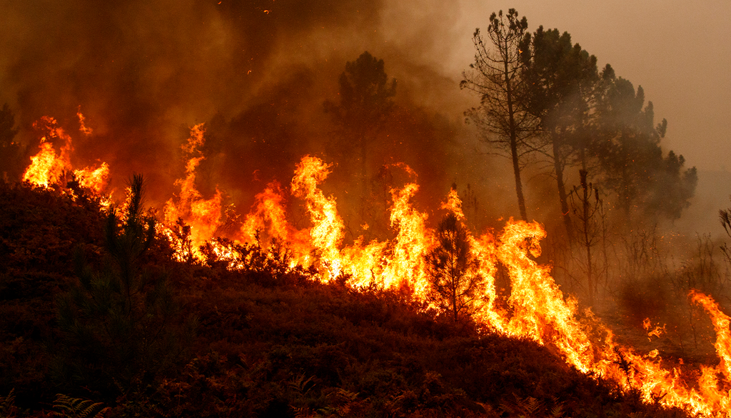 Las llamas han arrasado ya más de 12.000 hectáreas, han obligado a evacuar seis localidades