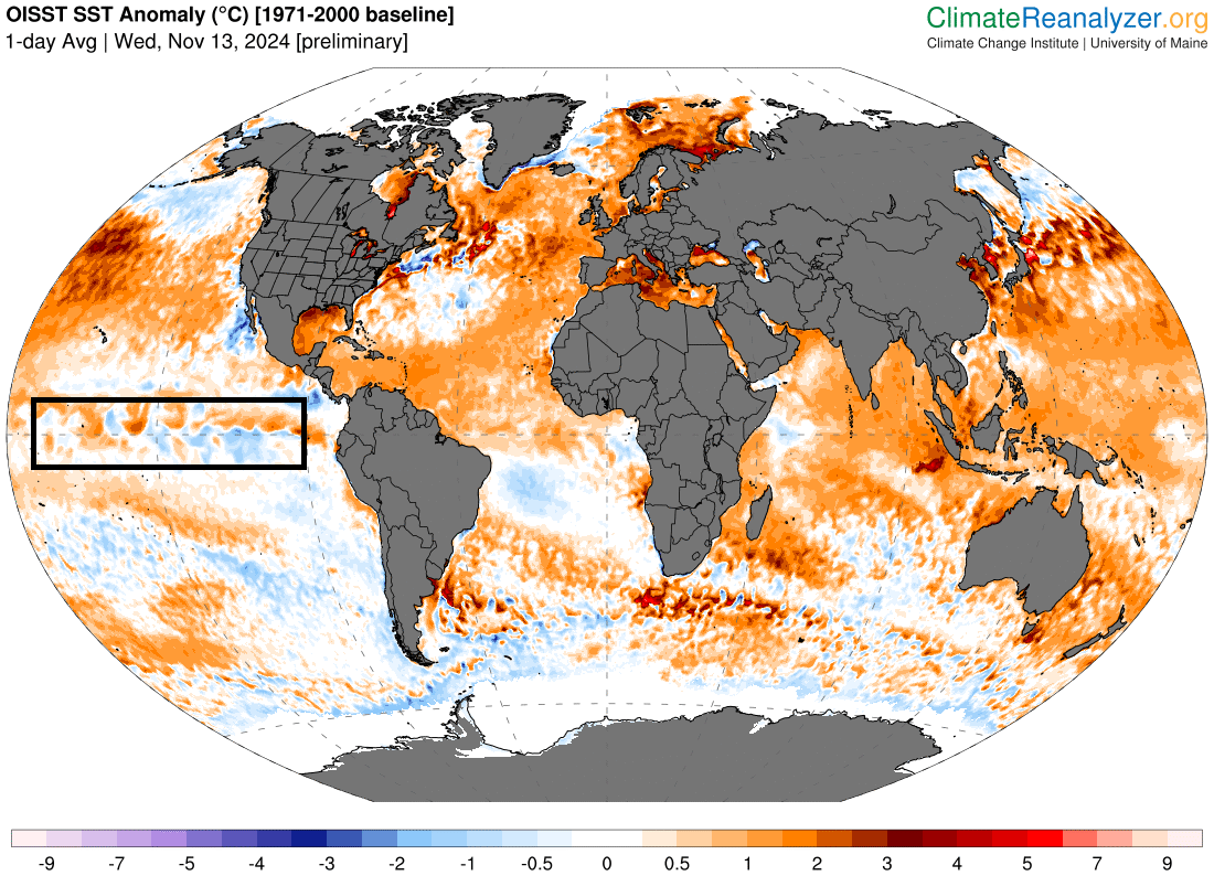 Anomalías de la temperatura del agua del mar, resaltando la zona del Pacífico ecuatorial, con anomalías frías/cálidas en tonalidades azules/rojas, respectivamente, a fecha de 13 noviembre de 2024. Climate Reanalyzer.