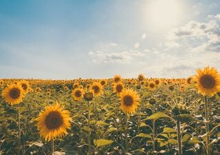 Último fin de semana de agosto con tiempo variable y sin mucho calor