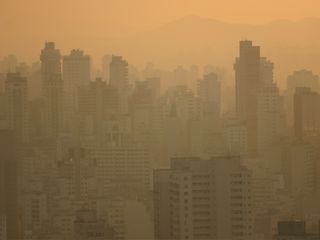 Um chamado pela Saúde e pelo Meio Ambiente