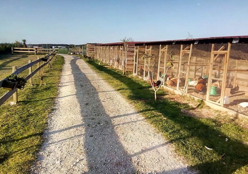 Quinta Pedagógica Bambilocas Quinta Pedagógica Bambilocas