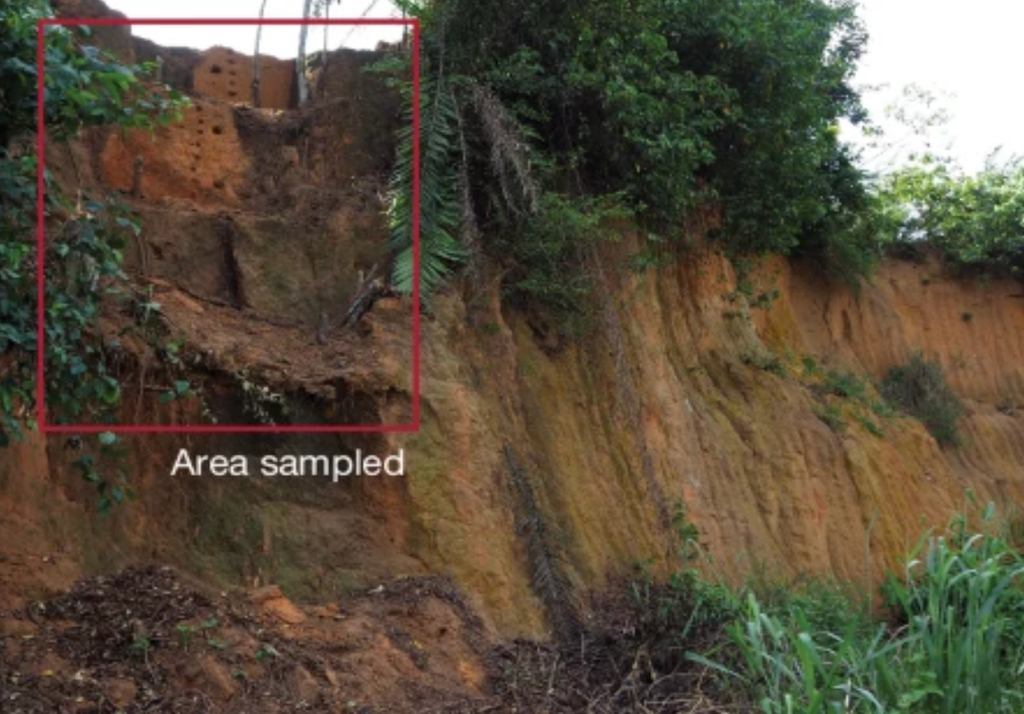 Localização do sítio arqueológico Localização do sítio arqueológico