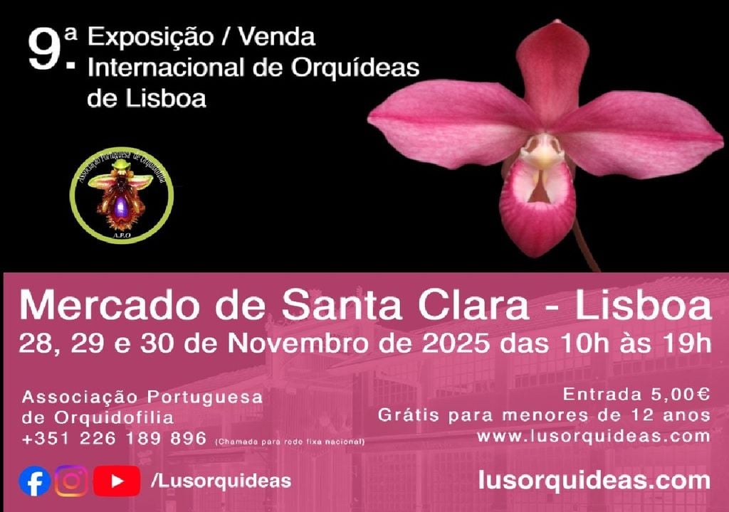 9ª exposição internacional de orqídeas de Lisboa 9ª exposição internacional de orqídeas de Lisboa