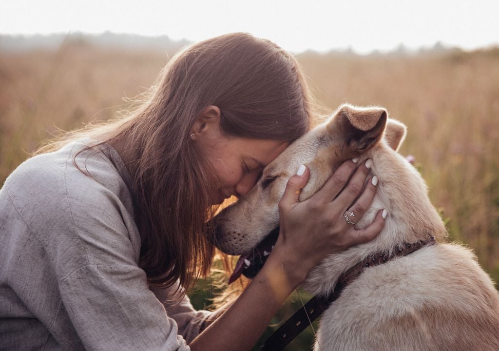 amor entre humano e cão