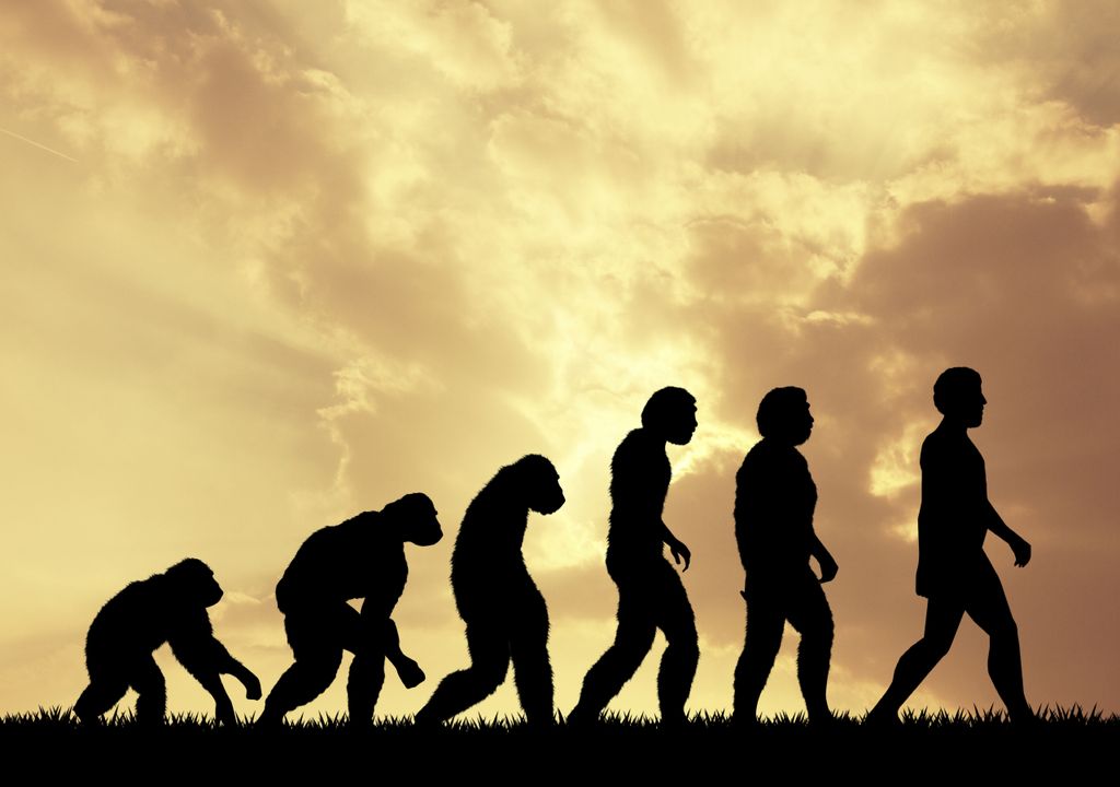 evolução evolução