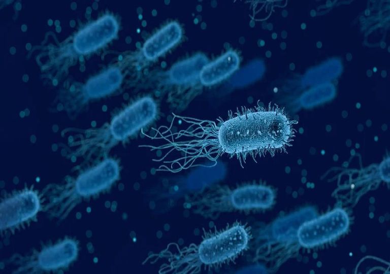 Vírus vida parasitas células reprodução oceanos Terra Vírus vida parasitas células reprodução oceanos Terra