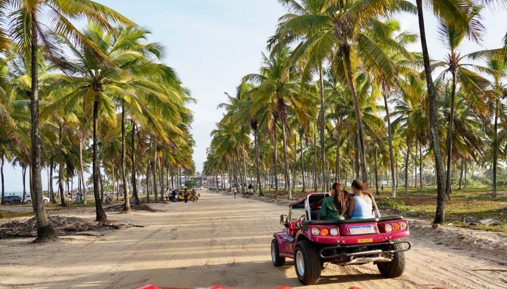 Passeio de buggy pelo Coqueiral de Maracaípe, uma área com fileiras de coqueiros à beira-mar, a perder de vista, é um dos atrativos de Porto de Galinhas. Crédito: Divulgação.