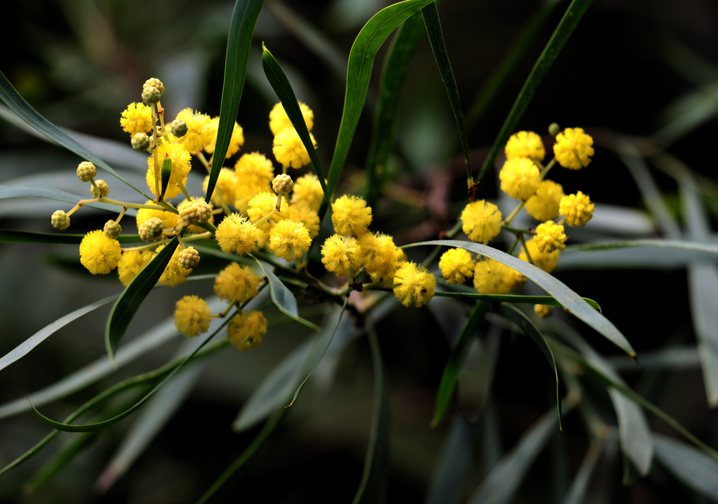 Ecossistema do litoral Ecossistema do litoral