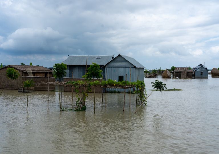 Um quarto de Bangladesh está inundado e milhões de pessoas perdem tudo Um quarto de Bangladesh está inundado e milhões de pessoas perdem tudo