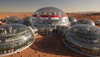 Um simples fungo pode ajudar a construir uma base em Marte? A ci&ecirc;ncia portuguesa acredita que sim