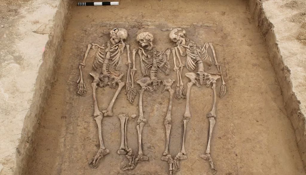 Foram analisados 258 genomas antigos da antiga fronteira romana do sul da Alemanha, que analisámos juntamente com 2.500 genomas antigos e 379 genomas modernos. Crédito imagem: Kreisarchäologie Landshut, Richter